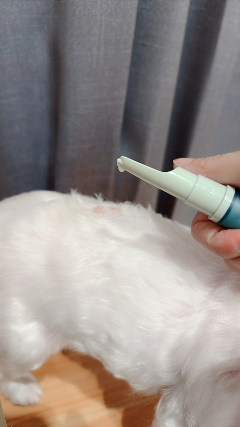 女人知己試用大隊,口碑行銷,部落客行銷,Goodmofamily歸毛家族 寵物肌膚救星組,歸毛家族 寵物肌膚救星,舒敏保濕洗毛乳,護膚噴液,精萃營養霜,博士30年生技專業,給足皮膚營養保護力,無抗生素 無類固醇,神經醯胺,19種綜合胺基酸,榮獲SNQ國家認證,上萬毛爸媽見證,3週幫助皮膚健康,NO.1寵物肌膚口碑霸主,寵物第一護膚領導品牌